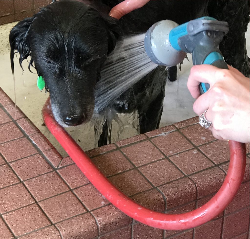 Bathtime